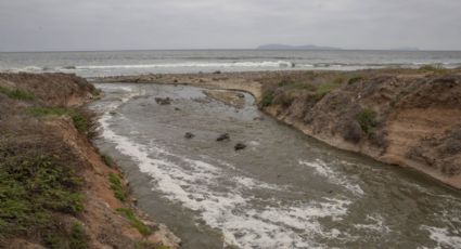 Día Mundial de los Océanos: 3 graves daños que los humanos hemos hecho al mar