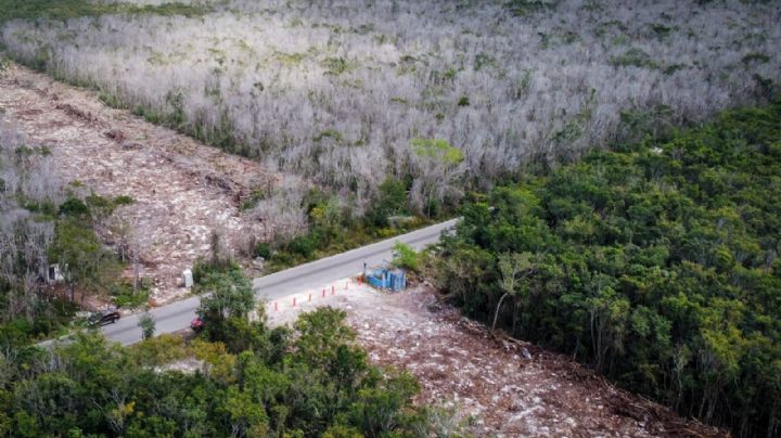 Tren Maya: Estará listo en diciembre de 2023 o antes pese a suspensión, dice Fonatur