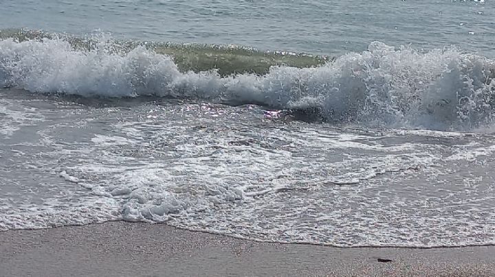 Continua contaminación en playa Tesoro… Empresas industriales afectan flora y fauna de la zona