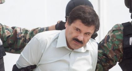 Joaquín Guzmán Loera: Así era el exótico zoológico privado de ‘El Chapo’