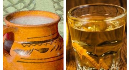 Pulque vs. Mezcal: ¿Cuál es la verdadera 'bebida de los dioses'?