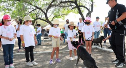 Bajo la lupa a los paseadores de perros, para evitar acciones de maltrato