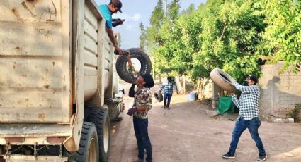 Recolectan 26 toneladas de cacharros en Elota