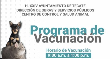 Gobierno de Tecate: Se invita a dueños de mascotas al programa de vacunación antirrábica 2022