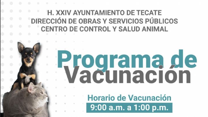 Gobierno de Tecate: Se invita a dueños de mascotas al programa de vacunación antirrábica 2022