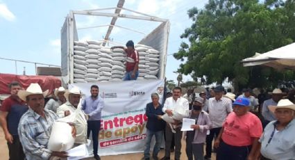 Entregan 2 mil 129 sacos de semillas a 400 productores de temporal en Elota 