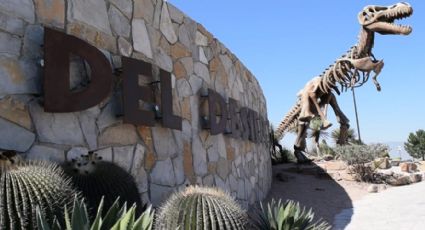 Rincón Colorado: Tierra de Dinosaurios en Coahuila