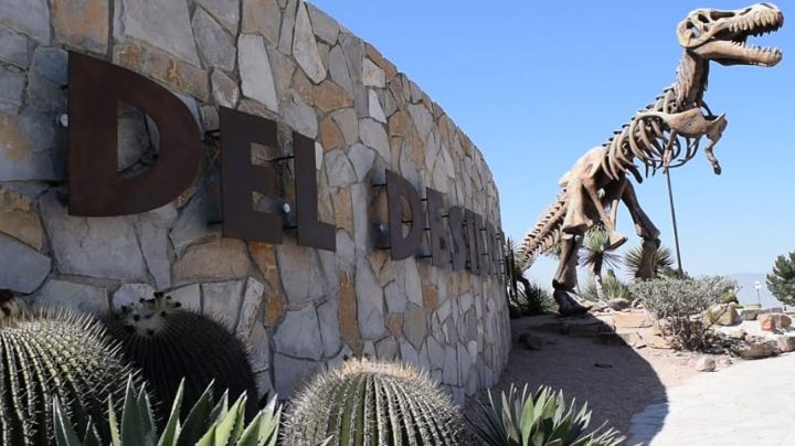 Rincón Colorado: Tierra de Dinosaurios en Coahuila