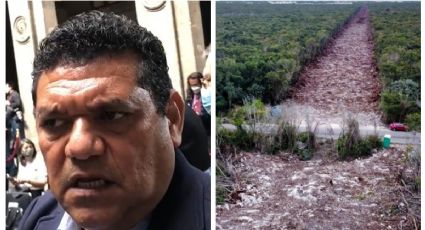 'Truco' para Tren Maya: retoman obras porque es de seguridad nacional, dice Fonatur