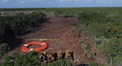 Tren Maya: Greenpeace arma "plantón" contra las obras del Tramo 5 Sur (FOTOS)