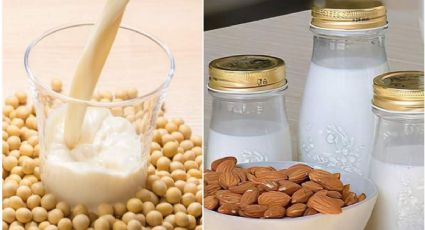 Leche de almendras, coco y soya: si no es leche de verdad, ¿entonces qué es?