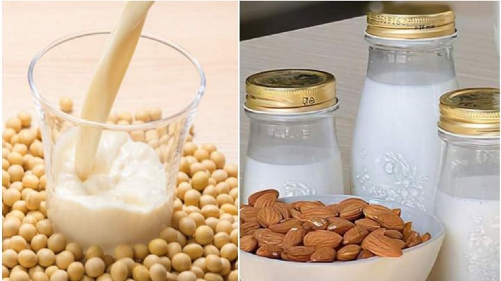 Leche de almendras, coco y soya: si no es leche de verdad, ¿entonces qué es?