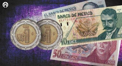 Nuevos pesos: ¿qué eran y por qué se dejaron de llamar así?