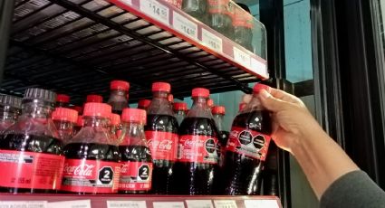 ¿Cómo conseguir GRATIS un refrigerador de Coca-Cola para mi negocio?