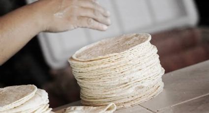 Precio de la tortilla podría aumentar en próximos días