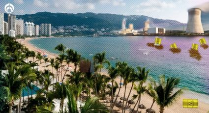 Playas de Acapulco con 'bichitos'... ¿y desechos radiactivos de Fukushima?