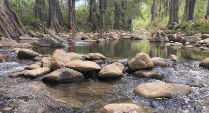 Una joya secreta en medio de la sequía en Nuevo León: El Río Ramos