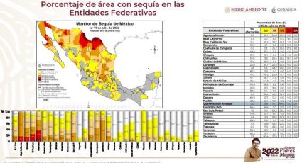 Sequía en México: Querétaro con 15 municipios sin el vital líquido