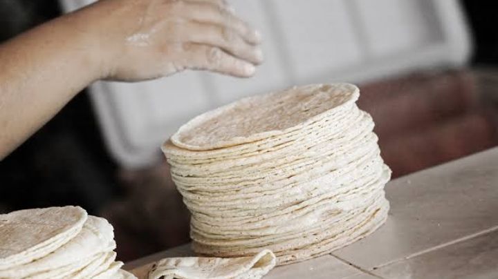 Precio de la tortilla podría aumentar en próximos días