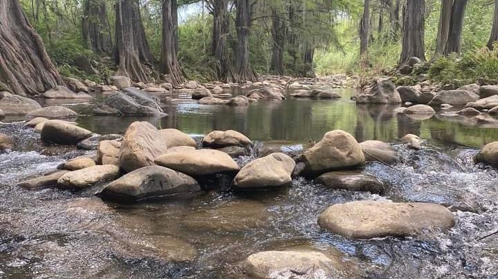 Una joya secreta en medio de la sequía en Nuevo León: El Río Ramos