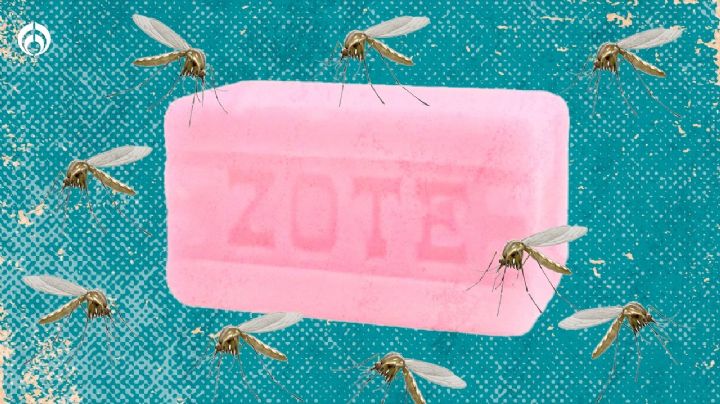 ¿Harto de los mosquitos? El Jabón Zote puede ser tu mejor aliado para ahuyentarlos