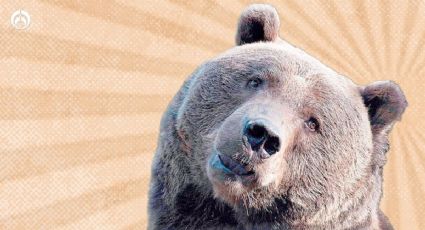 Esta es la bebida "baba de oso" que sólo tomaban las personas que serían sacrificadas