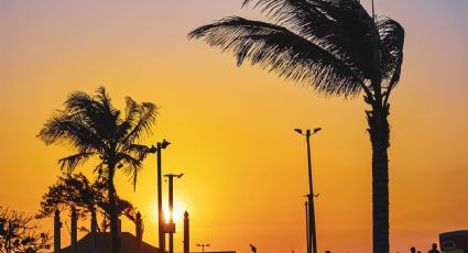 Malecón de Coatzacoalcos: el más largo y bonito de México, locación de un documental de Netflix