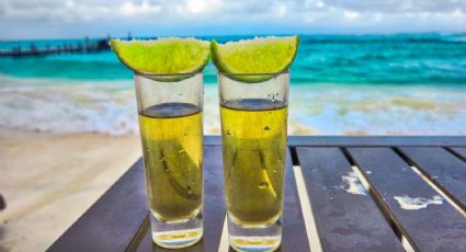 Para todo mal... ¡un tequila! 3 tipos que tienes que probar