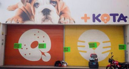 ¿La tienda +Kota en bancarrota? Esto sabemos