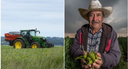 ¿Trabajas en el campo? Gobierno anuncia créditos para compra de insumos