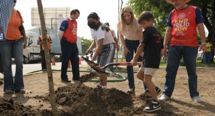 Proyecto de Reforestación Inteligente Veracruz: Siembra y jardinería para embellecer nuestra ciudad