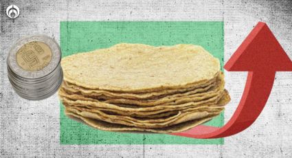 Precio de las tortillas: ¿Kilo costará 30 pesos? Productores anticipan alza en agosto