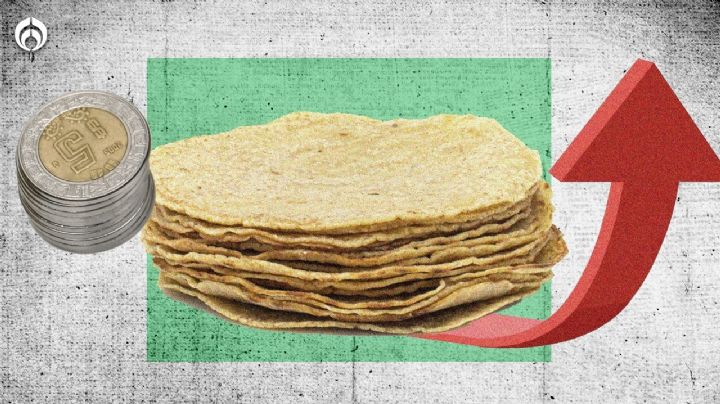 Precio de las tortillas: ¿Kilo costará 30 pesos? Productores anticipan alza en agosto