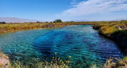 Cuatro Ciénegas, el origen de la vida: un oasis en medio del desierto