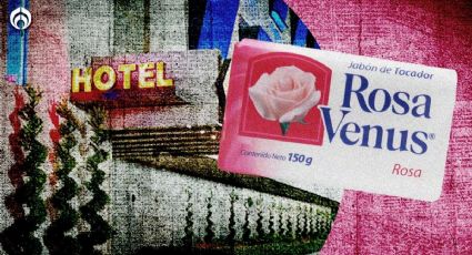 Jabón Rosa Venus: ¿Por qué se le asocia con los hoteles?