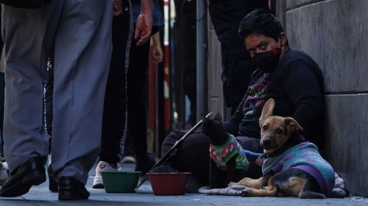 Programas sociales de la 4T no frenaron la pobreza pero evitaron que se disparara, dice Coneval