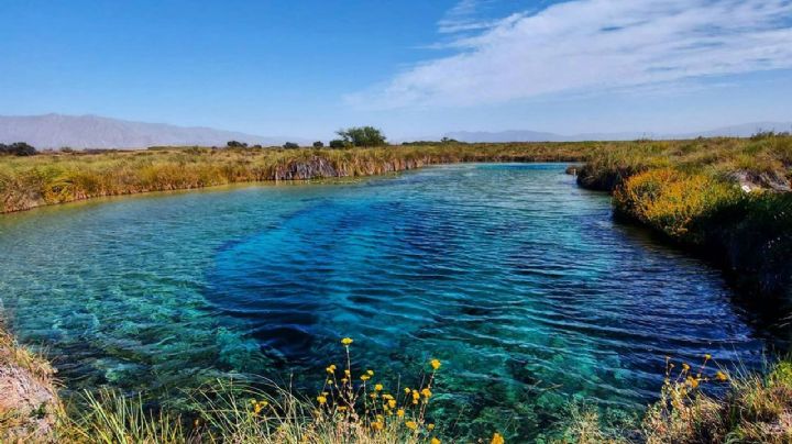 Cuatro Ciénegas, el origen de la vida: un oasis en medio del desierto