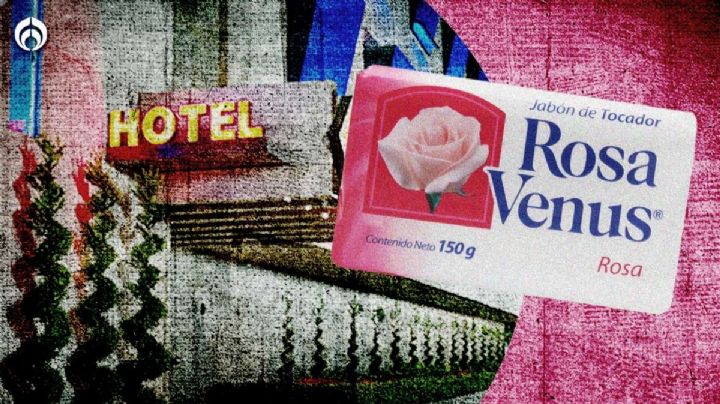 Jabón Rosa Venus: ¿Por qué se le asocia con los hoteles?