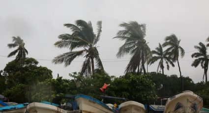 Clima para hoy lunes 8 de agosto: tormenta ‘Howard’ descargará su furia en estos estados