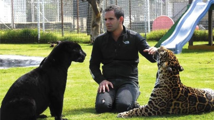 Eduardo Serio: ¿quién es el dueño de Black Jaguar-White Tiger, acusado de maltrato animal?