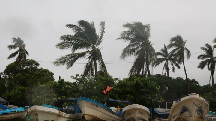 Clima para hoy lunes 8 de agosto: tormenta ‘Howard’ descargará su furia en estos estados