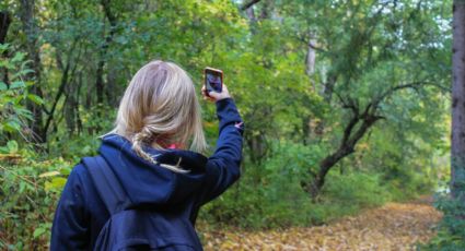 Parque La Mexicana: ¿Pueden cobrarme por tomarme fotos aquí en la CDMX?