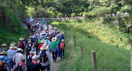 Columna de mujeres no participaría en Peregrinación al Tepeyac