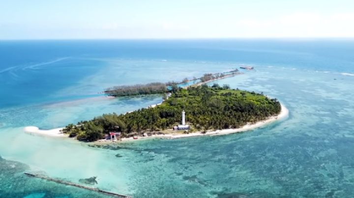 ¿Qué hacer en Isla Lobos?: Paraíso secreto en Veracruz