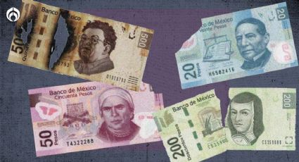 Billetes de México: ¿Tienes rotos o maltratados? Aquí puedes cambiarlos