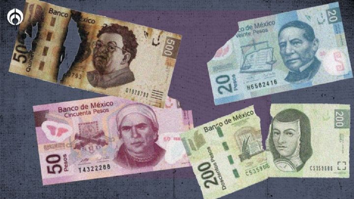 Billetes de México: ¿Tienes rotos o maltratados? Aquí puedes cambiarlos