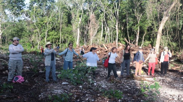 Tren Maya: Sélvame del Tren tiene ‘plan B’ y llevará caso a la Corte