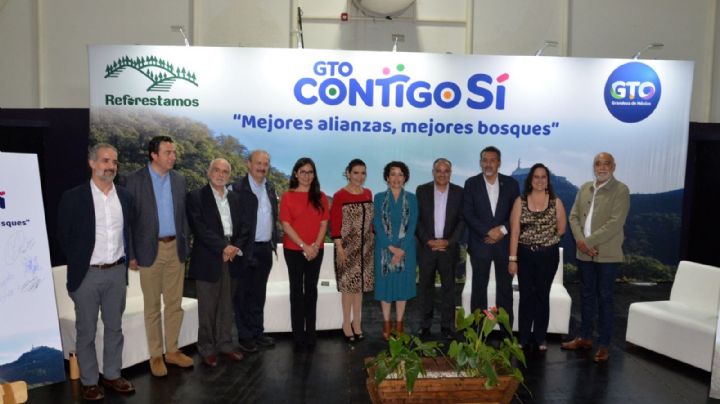 Van por reforestación de 3 mil 900 hectáreas de bosque en Guanajuato