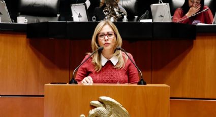 La Senadora Lucía Meza pide al alcalde de Cuautla Rodrigo Arredondo asumir su responsabilidad