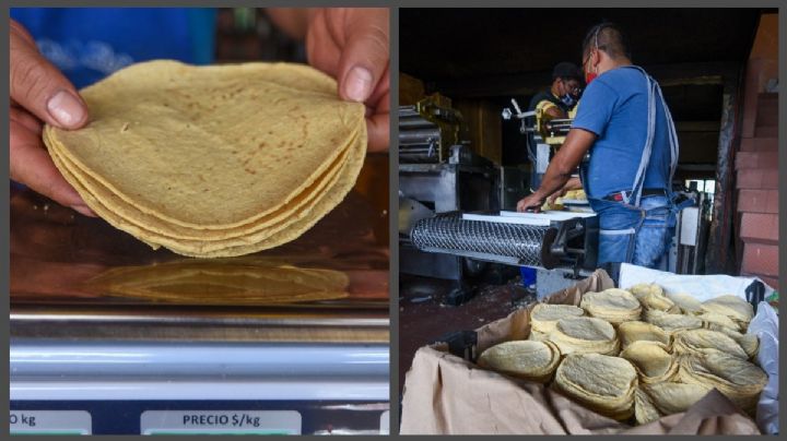 Maseca se 'pasa de rosca' y obliga a subir precio de las tortillas, dice Profeco